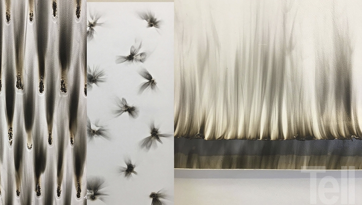 María Ovalle: Soberanía