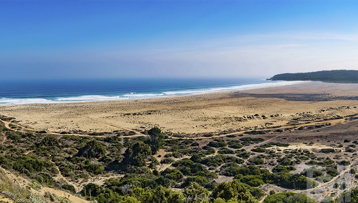 Fundación Tunquén Sustentable: Ecosistema en peligro