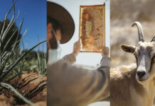 Parque Bienestar Pitama: Tesoro natural