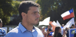 Raimundo Palamara: Radiografía a Viña