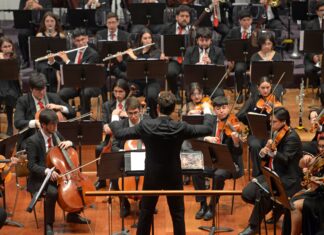 Temporada Artística USM 2024