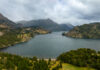 Eventos culturales traen lo mejor de la Patagonia