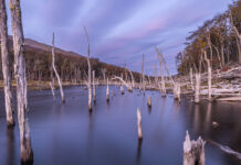 Tierra del Fuego: Belleza salvaje