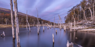Tierra del Fuego: Belleza salvaje