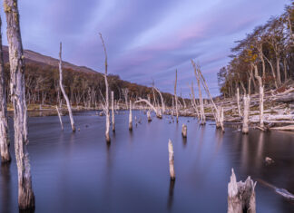 Tierra del Fuego: Belleza salvaje