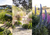 María Jesús Sánchez: Jardines ecológicos