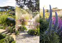 María Jesús Sánchez: Jardines ecológicos