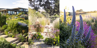 María Jesús Sánchez: Jardines ecológicos