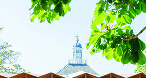Ecos de ciudad