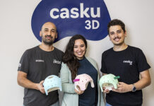 Casku 3D: La cruzada de Casku
