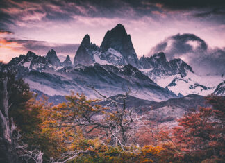 Francisco Negroni: Otoño en la Patagonia