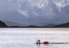 Nado austral en la Patagonia chilena: Bitácora de un sueño