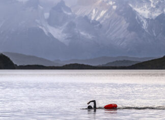 Nado austral en la Patagonia chilena: Bitácora de un sueño