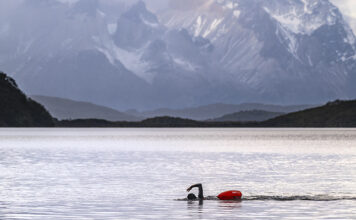 Nado austral en la Patagonia chilena: Bitácora de un sueño
