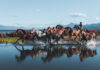 Caballos en la Patagonia: Las impresionantes fotos de Lena Bam desde el sur de Chile