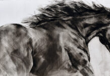 Constanza Santa María: arte ecuestre y pasión por los caballos desde Chicureo