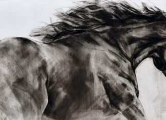 Constanza Santa María: arte ecuestre y pasión por los caballos desde Chicureo