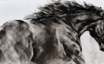 Constanza Santa María: arte ecuestre y pasión por los caballos desde Chicureo