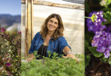 Jardín Mediterráneo: Paisaje emocional