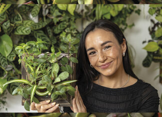 Botanique: talleres con plantas, creatividad y bienestar