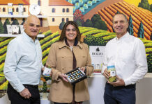 Bozzo Chocolates: el regreso de un legado que impulsa el chocolate premium chileno